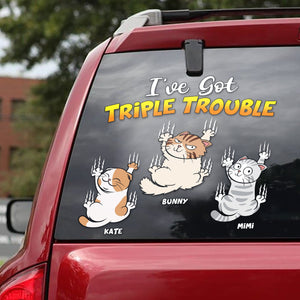 Personalized Gifts For Cat Lover Decal 03OHPU170624-Homacus