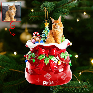 Festive Pet Keepsake Christmas Ornament - Custom Photo Gifts For Pet Lovers 05paqn080925