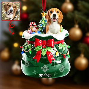 Festive Pet Keepsake Christmas Ornament - Custom Photo Gifts For Pet Lovers 05paqn080925