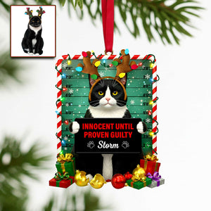 Cute Naughty Cat Acrylic Ornament - Personalized Custom Photo Gifts For Cat Lovers 08HULU121125