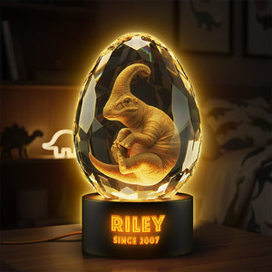 Cute Dino In Glass Egg Light Box - Personalized Gift For Dinosaur Lovers 04HYTA111225
