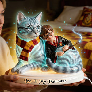 Fantasy Furry Pet And You Acrylic Light Box - Custom Photo Gifts 01naqn180326