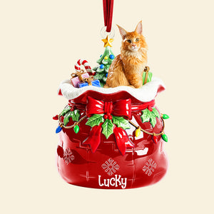 Festive Pet Keepsake Christmas Ornament - Custom Photo Gifts For Pet Lovers 05paqn080925