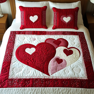 Blissful Hearts 3-Piece Quilted Bedding Set NCU0VH1365