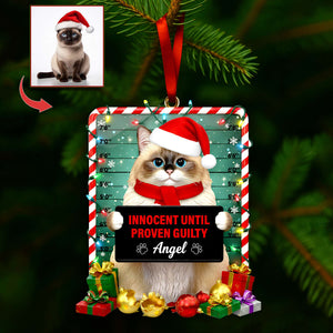 Cute Naughty Cat Acrylic Ornament - Personalized Custom Photo Gifts For Cat Lovers 08HULU121125