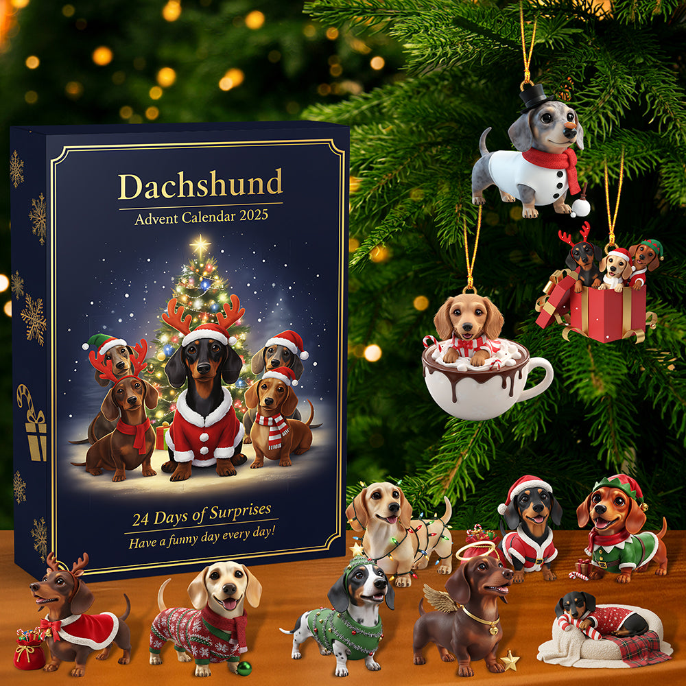 Christmas Advent Calendar Acrylic Blind Box - Gifts For Dog Lovers 01hyta211025