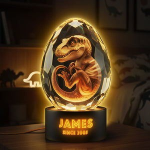 Cute Dino In Glass Egg Light Box - Personalized Gift For Dinosaur Lovers 04HYTA111225