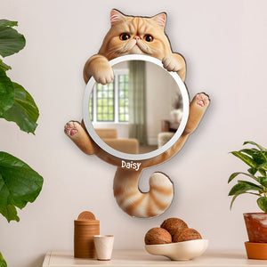 Cute Cat Mirror - Personalized Gifts For Cat Lovers 01ohqn260725