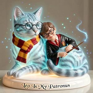 Fantasy Furry Pet And You Acrylic Light Box - Custom Photo Gifts 01naqn180326