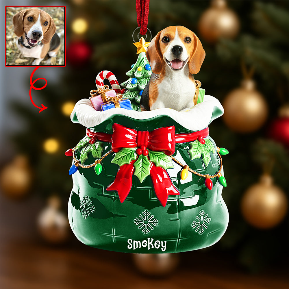 Festive Pet Keepsake Christmas Ornament - Custom Photo Gifts For Pet Lovers 05paqn080925