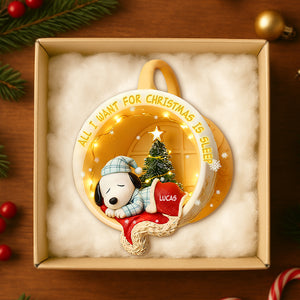 Lazy Sleeping In Cozy Nook Acrylic Ornament, Personalized Gifts For Christmas 06qhtn301025