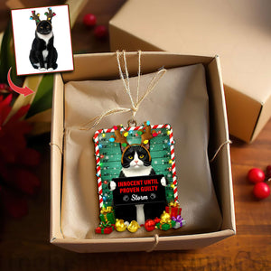 Cute Naughty Cat Acrylic Ornament - Personalized Custom Photo Gifts For Cat Lovers 08HULU121125
