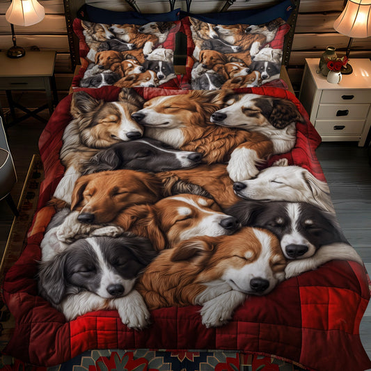 Aussie Comfort 3-Piece Quilted Bedding Set NCU0PT3000