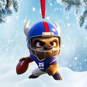 Personalized Gifts For Football Lovers Christmas Ornament 01HUMH221124